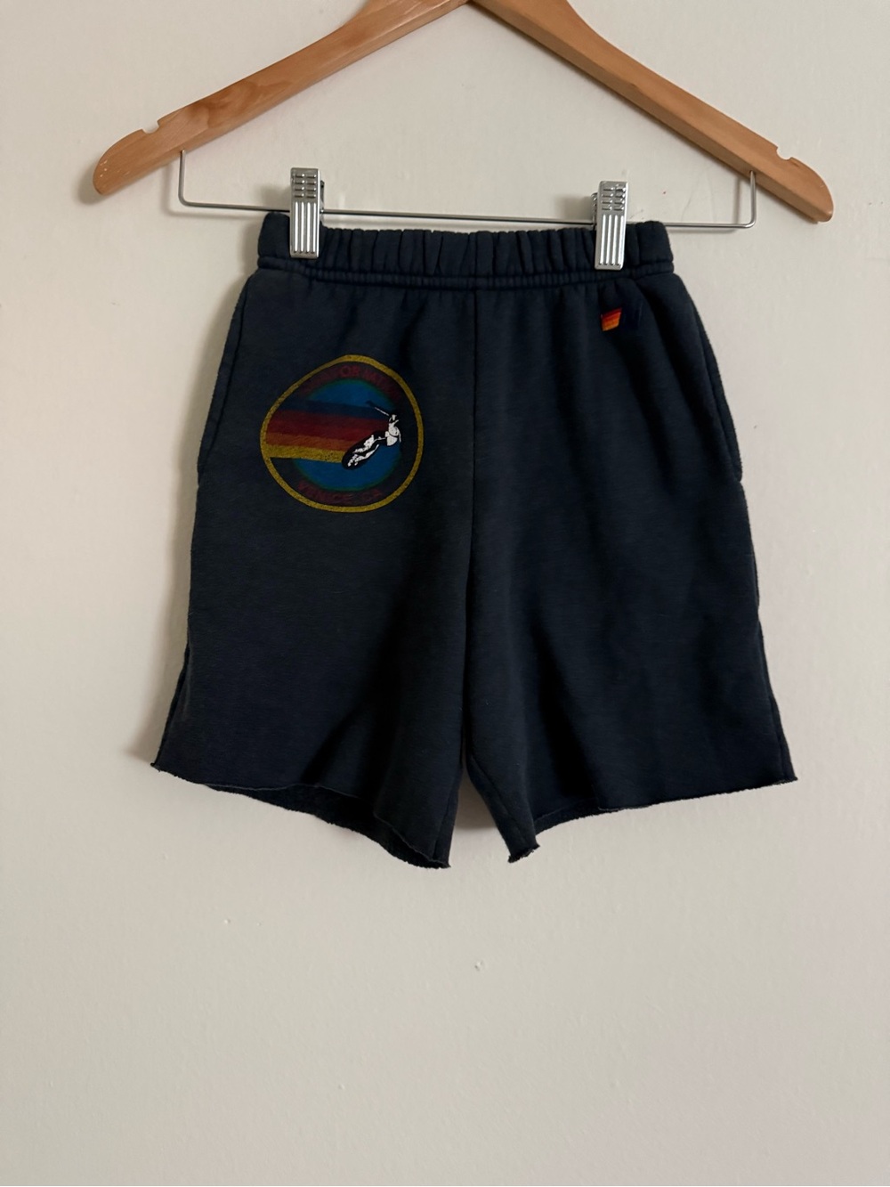 Aviator Nation sweatshorts